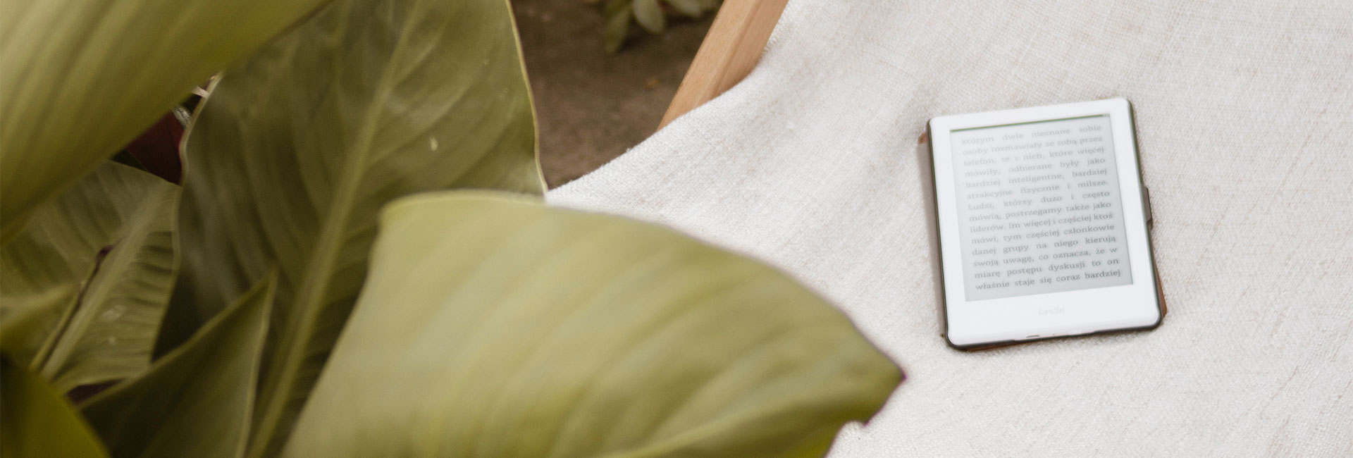 JST Grande - Contact