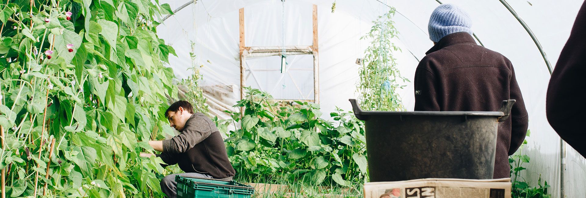 JST Grande - Service